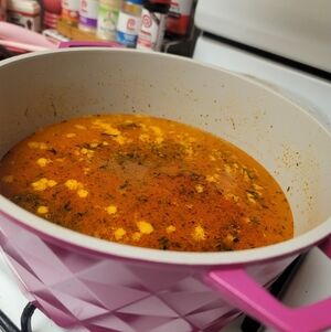 PARIS HILTON HOT TROPIC PINK POT 4.6QT